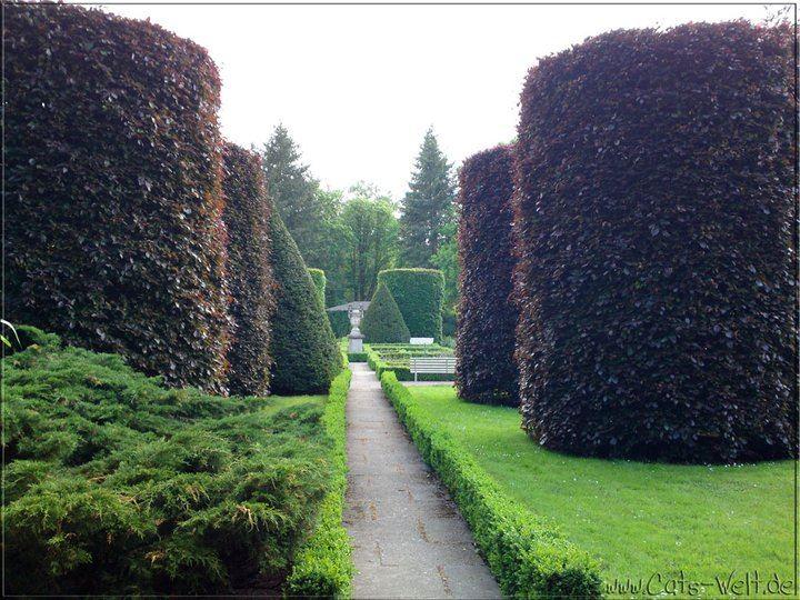 Rosengarten Forst 22.05.2011