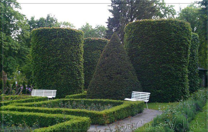 Rosengarten Forst 22.05.2011