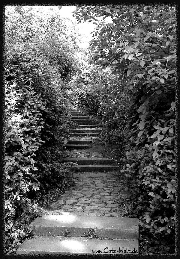 Puschkinpark